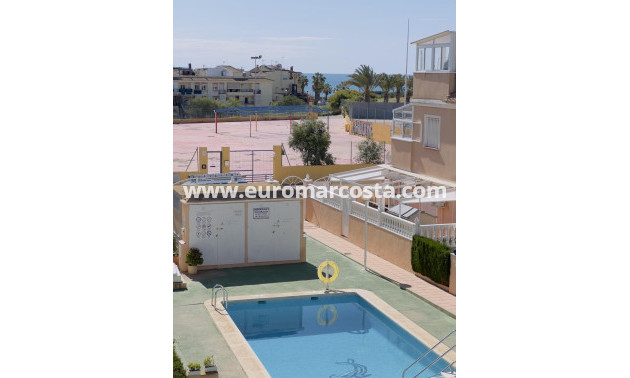 Sale - Bungalow - Torrevieja - TORREVIEJA
