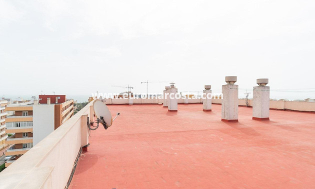 Objekte zum Wiederverkauf - Wohnung - Torrevieja - Rocio del mar