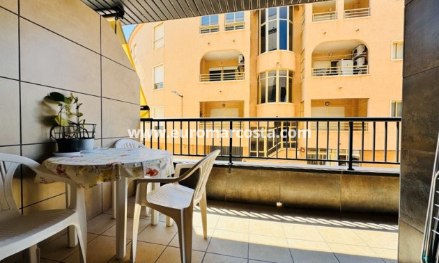 Venta - Apartamento / piso - La Mata