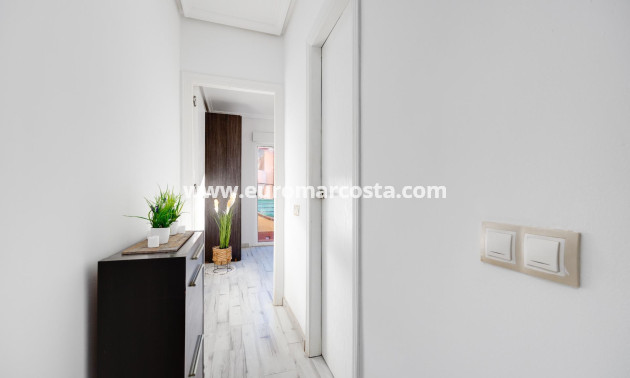 Objekte zum Wiederverkauf - Bungalow - Torrevieja - TORREVIEJA