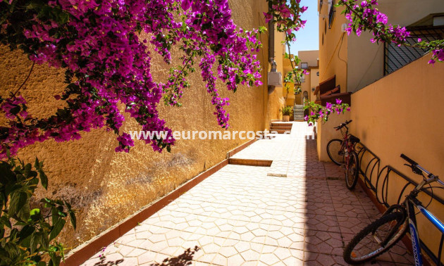 Objekte zum Wiederverkauf - Bungalow - Torrevieja - TORREVIEJA