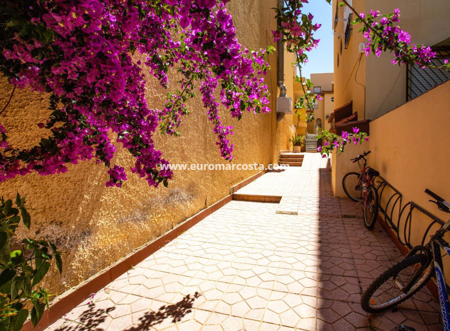 Objekte zum Wiederverkauf - Bungalow - Torrevieja - TORREVIEJA