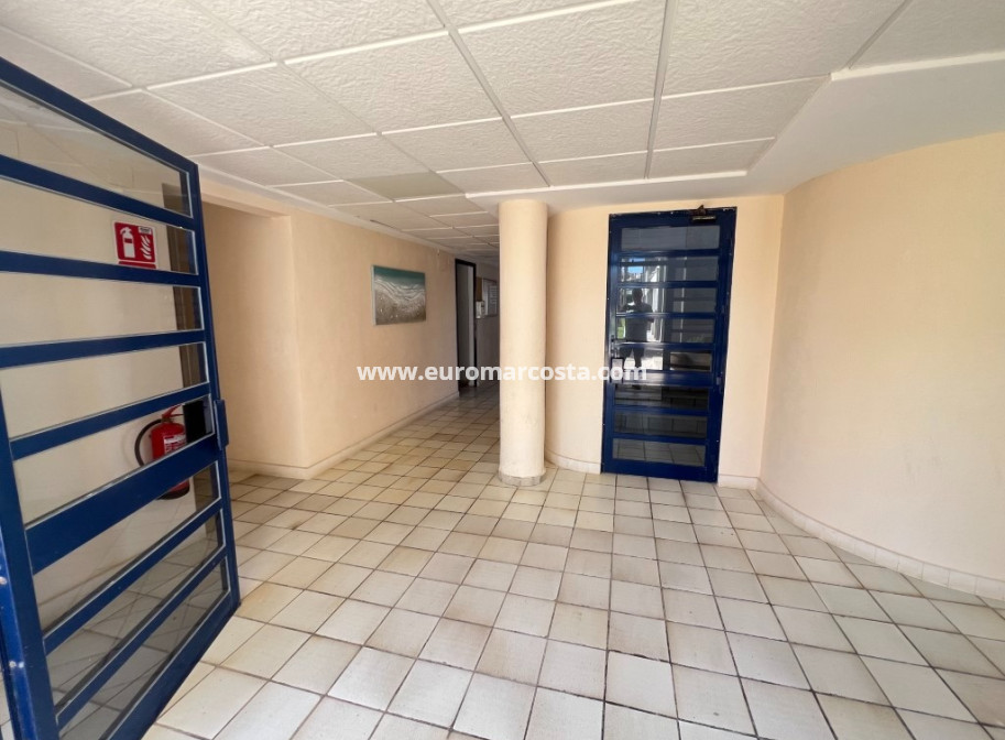 Sale - Apartment / flat - La Mata
