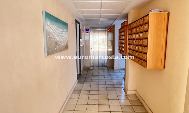 Sale - Apartment / flat - La Mata