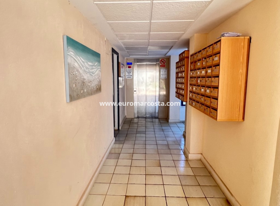 Sale - Apartment / flat - La Mata