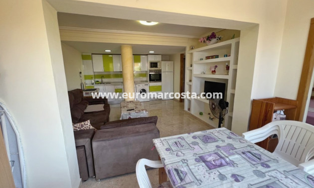 Sale - Apartment / flat - La Mata