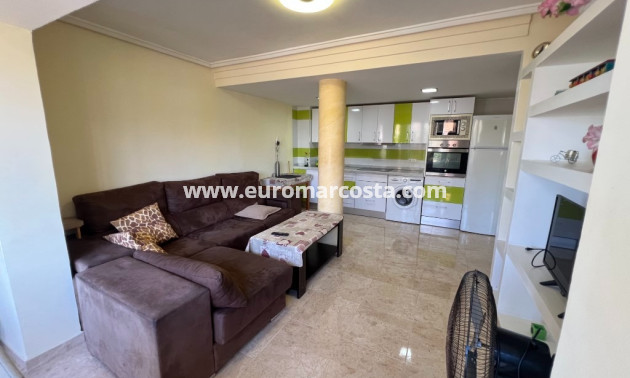 Sale - Apartment / flat - La Mata