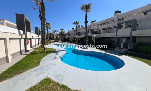 Sale - Apartment / flat - La Mata