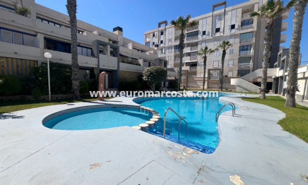 Sale - Apartment / flat - La Mata