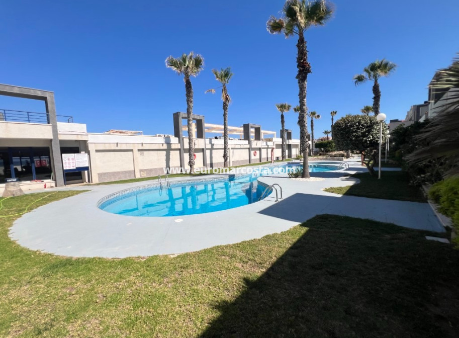Sale - Apartment / flat - La Mata