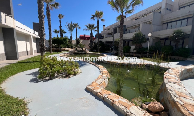 Sale - Apartment / flat - La Mata