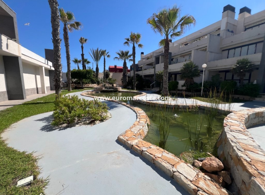 Sale - Apartment / flat - La Mata