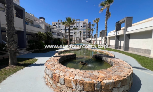 Sale - Apartment / flat - La Mata