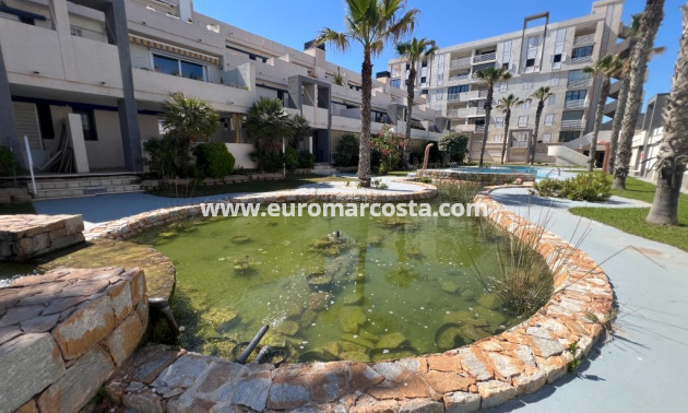 Sale - Apartment / flat - La Mata