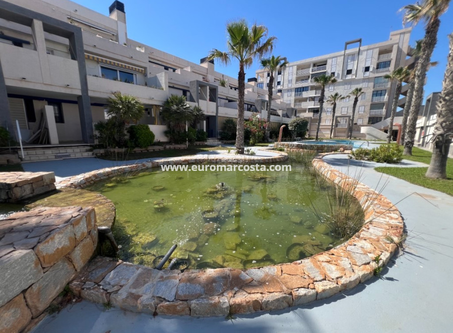 Sale - Apartment / flat - La Mata