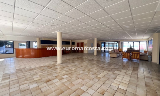Sale - Apartment / flat - La Mata