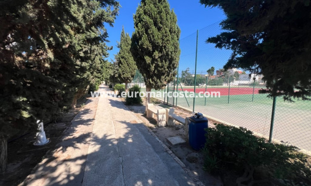 Sale - Apartment / flat - La Mata