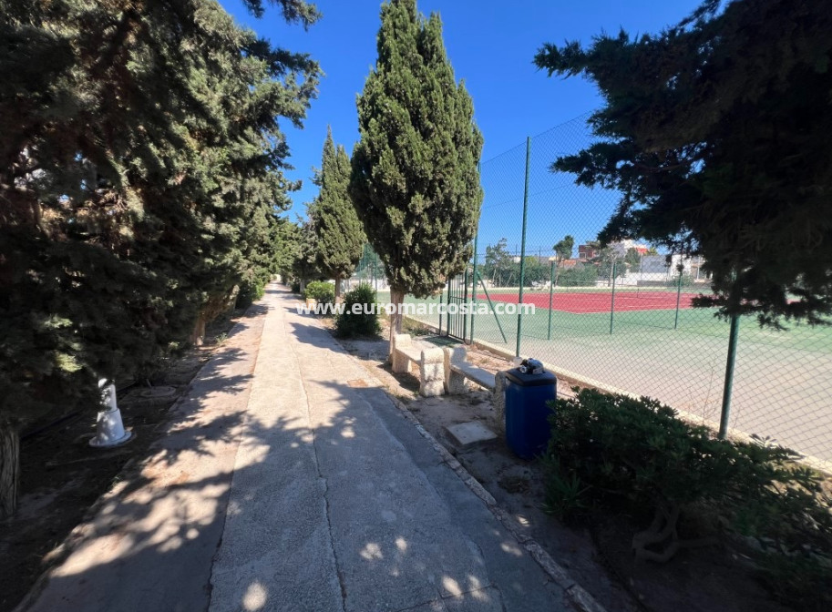 Sale - Apartment / flat - La Mata
