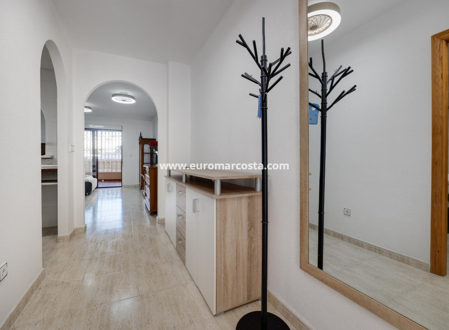 Venta - Apartamento / piso - Torrevieja - TORREVIEJA