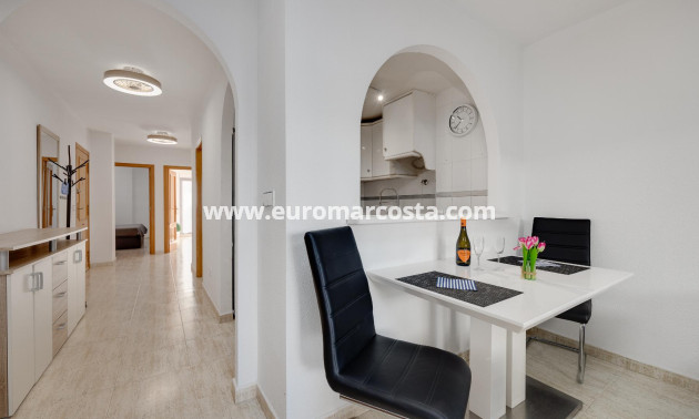 Venta - Apartamento / piso - Torrevieja - TORREVIEJA