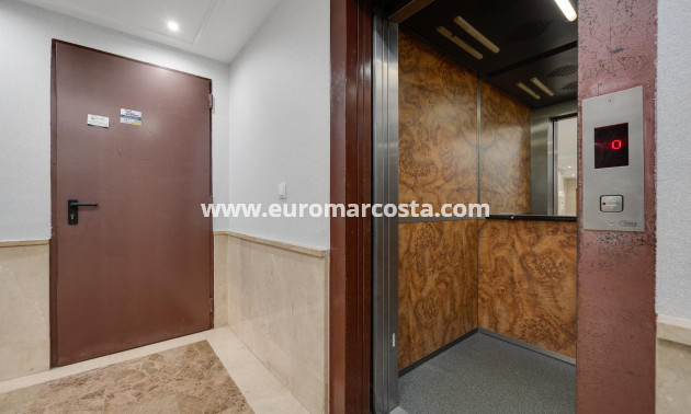 Venta - Apartamento / piso - Torrevieja - TORREVIEJA