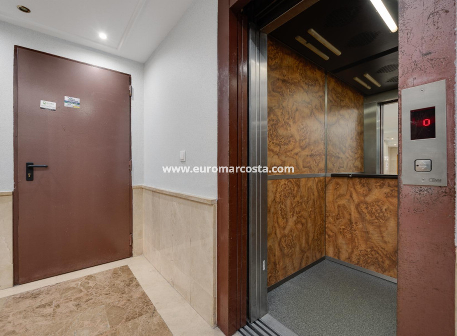Venta - Apartamento / piso - Torrevieja - TORREVIEJA