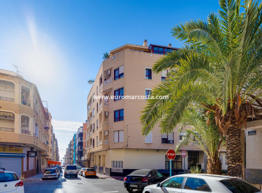 Venta - Apartamento / piso - Torrevieja - TORREVIEJA