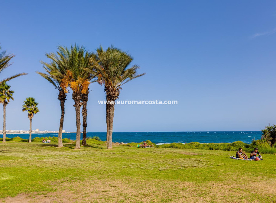 Objekte zum Wiederverkauf - Haus - Torrevieja - TORREVIEJA