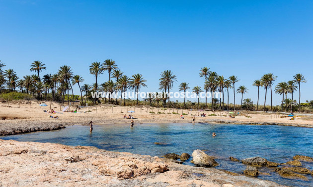 Objekte zum Wiederverkauf - Haus - Torrevieja - TORREVIEJA