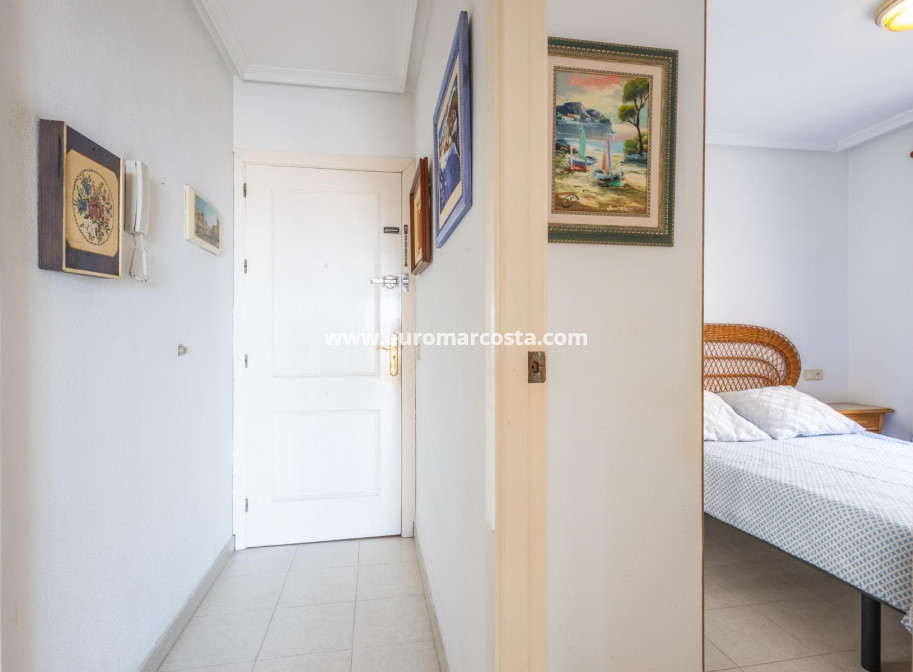 Sale - Penthouse - Torrevieja - TORREVIEJA