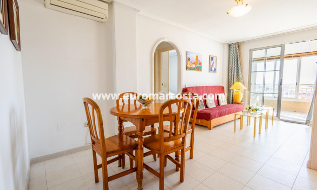 Sale - Penthouse - Torrevieja - TORREVIEJA