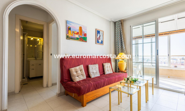 Sale - Penthouse - Torrevieja - TORREVIEJA