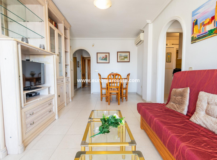 Sale - Penthouse - Torrevieja - TORREVIEJA