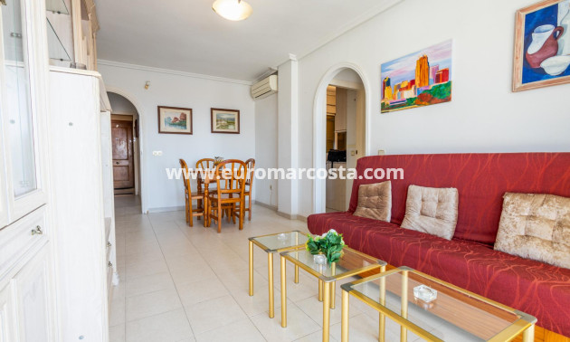 Sale - Penthouse - Torrevieja - TORREVIEJA