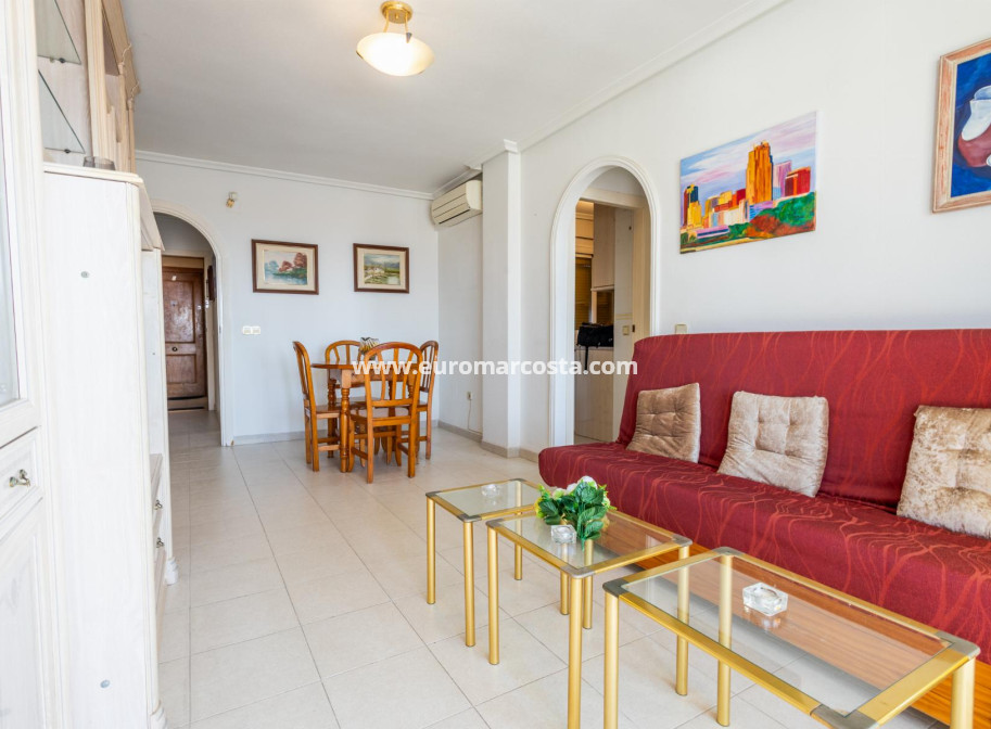 Sale - Penthouse - Torrevieja - TORREVIEJA