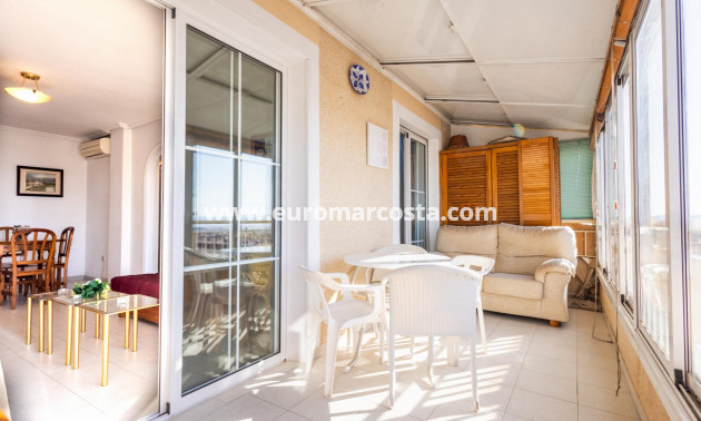 Sale - Penthouse - Torrevieja - TORREVIEJA