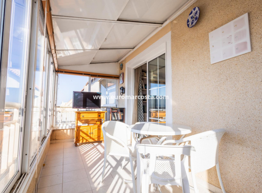 Sale - Penthouse - Torrevieja - TORREVIEJA