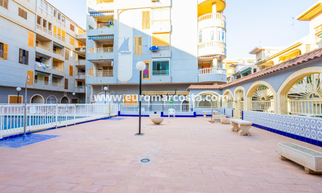 Sale - Penthouse - Torrevieja - TORREVIEJA