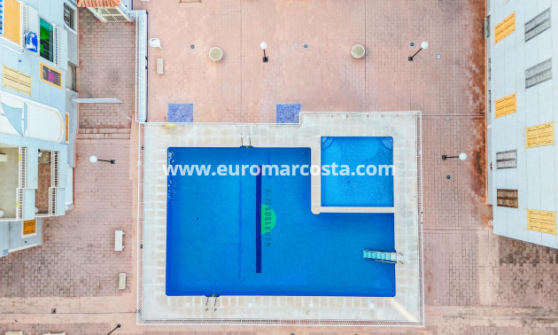 Sale - Penthouse - Torrevieja - TORREVIEJA