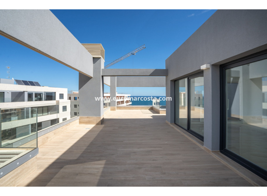 Objekte zum Wiederverkauf - Penthouse - Torrevieja - TORREVIEJA