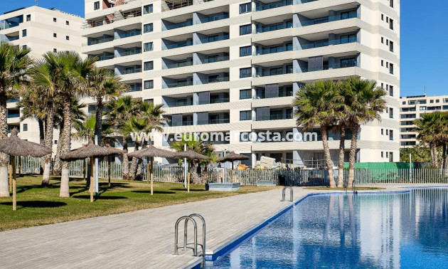 Objekte zum Wiederverkauf - Penthouse - Torrevieja - TORREVIEJA