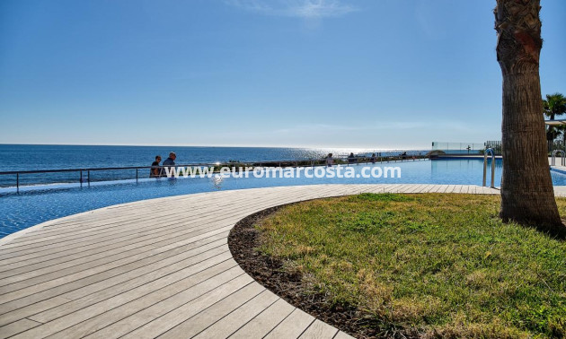 Objekte zum Wiederverkauf - Penthouse - Torrevieja - TORREVIEJA