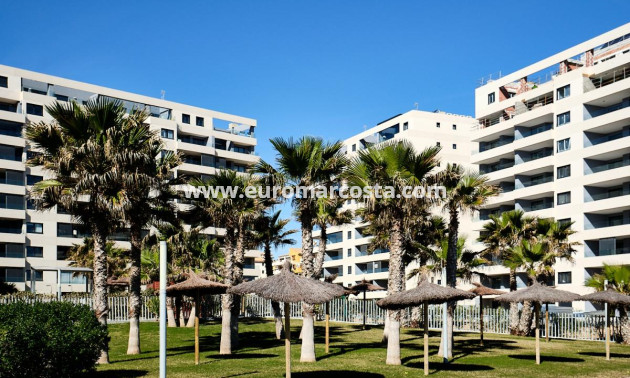 Objekte zum Wiederverkauf - Penthouse - Torrevieja - TORREVIEJA
