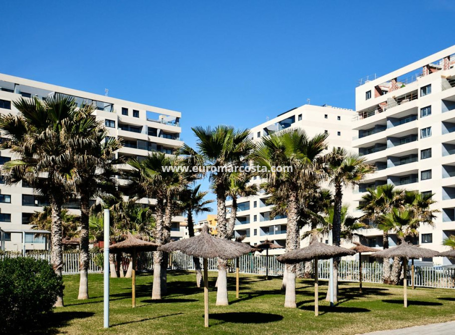 Objekte zum Wiederverkauf - Penthouse - Torrevieja - TORREVIEJA