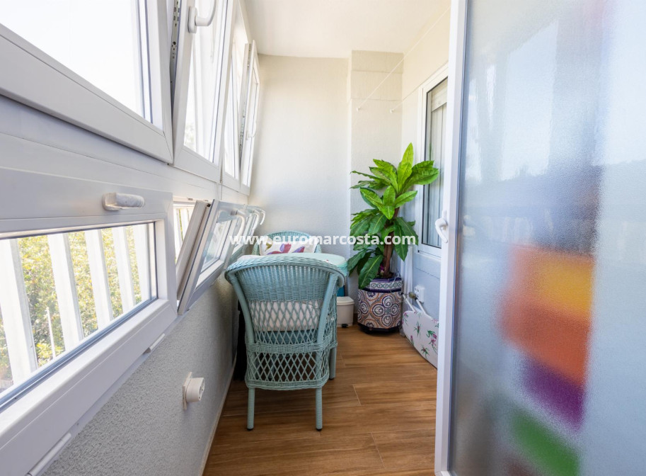 Venta - Apartamento / piso - Torrevieja - TORREVIEJA