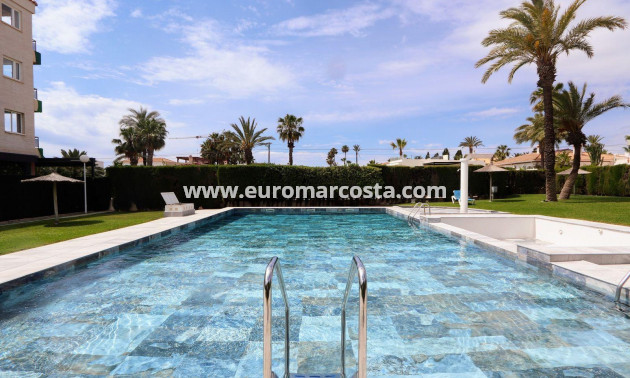 Sale - Apartment / flat - Torrevieja - Playa Flamenca