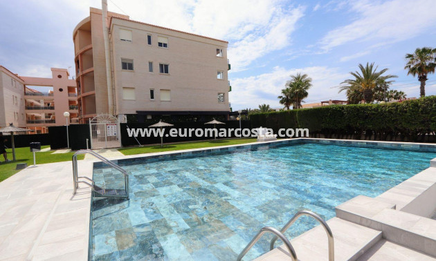 Sale - Apartment / flat - Torrevieja - Playa Flamenca