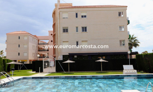 Sale - Apartment / flat - Torrevieja - Playa Flamenca