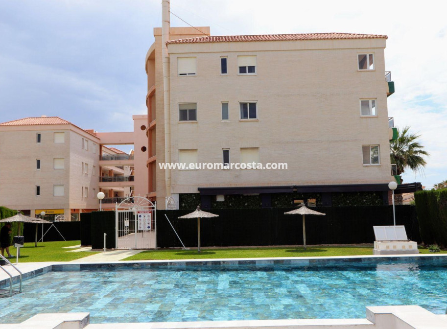 Sale - Apartment / flat - Torrevieja - Playa Flamenca