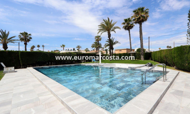 Sale - Apartment / flat - Torrevieja - Playa Flamenca